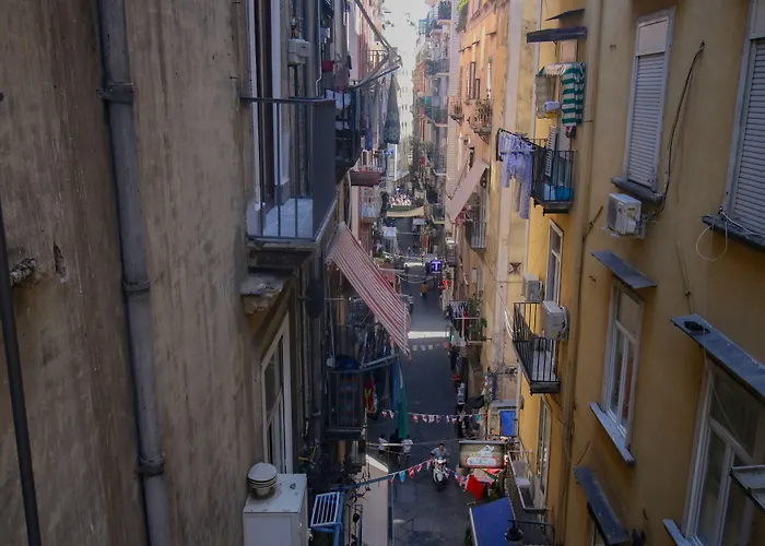 게스트하우스 Pisadog 2*